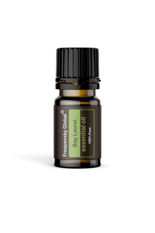 Bay Laurel