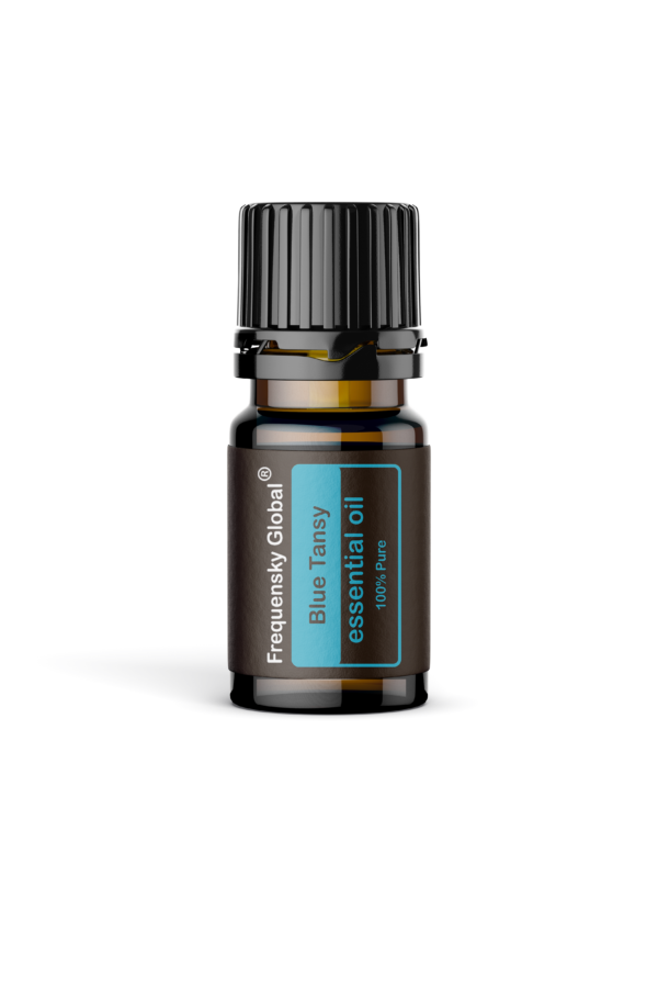 Blue Tansy